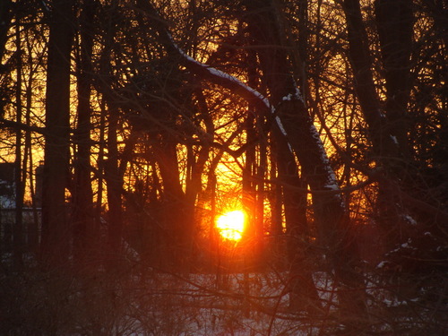 Scarsdale, NY: Weinberg Nature Center at Sunset......
