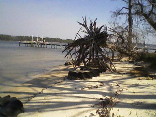 Havelock, NC: ADAMS CREEK ACROSS THE CREEK FROM MERRIMON