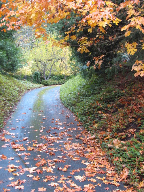 Ashland, OR : A walk in the park. Ashland Blessings!