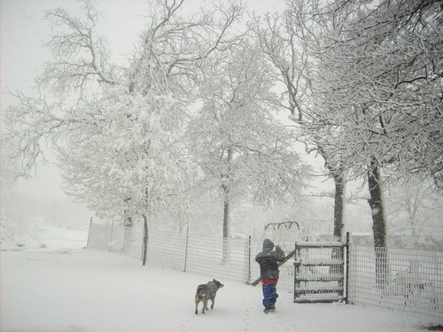 Kellyville, OK: Snow in the Spring 2009