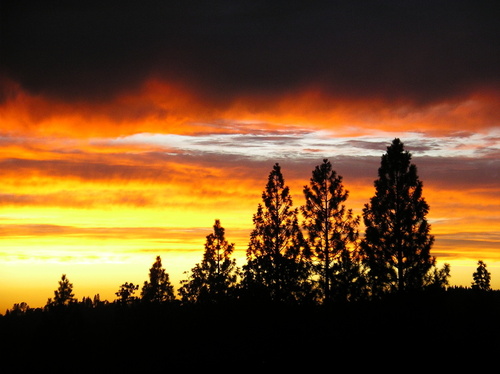 Pollock Pines, CA : Sunset at Mark and RJ's Sierra Springs