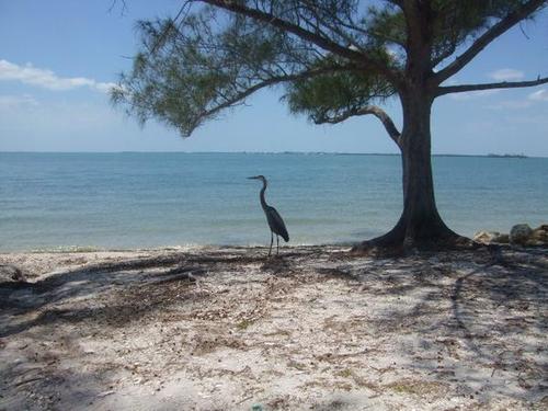 Sanibel Island, FL: A typical day on the caseway just off the Sanibel Beach Bride on a May's day!