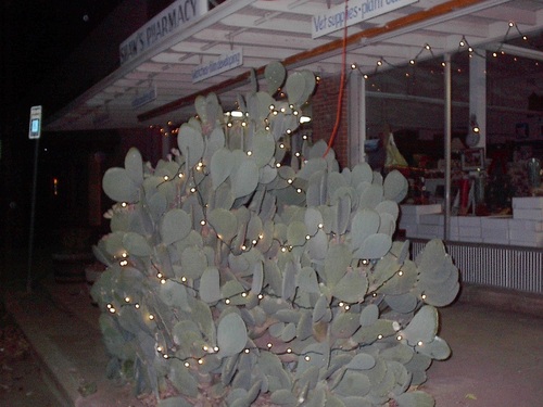 Crowell, TX : This is a Crowell Christmas Tree