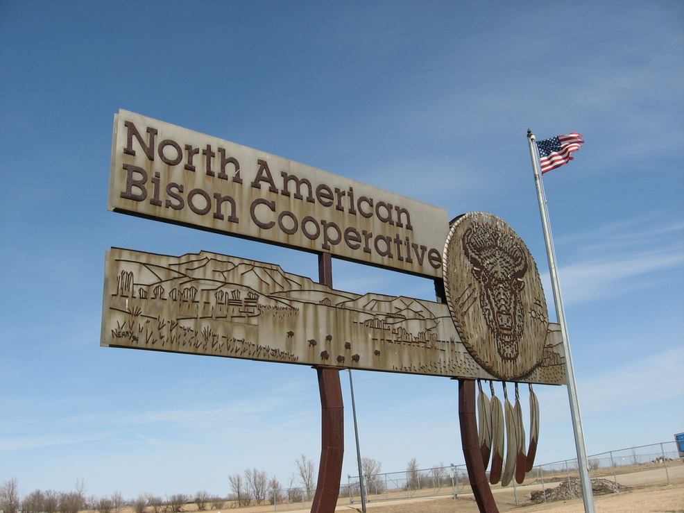 New Rockford, ND: North American Bison Coop