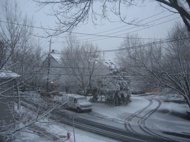 Highland Park, NJ: Snowy February: View from my hallway window at 9 S 9th Ave.