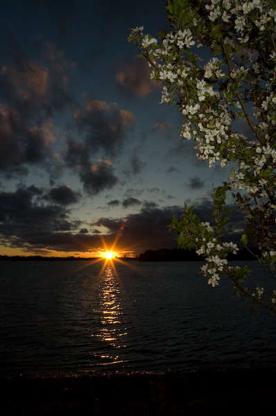 Grand Island, NY: Grand Island sunset in May