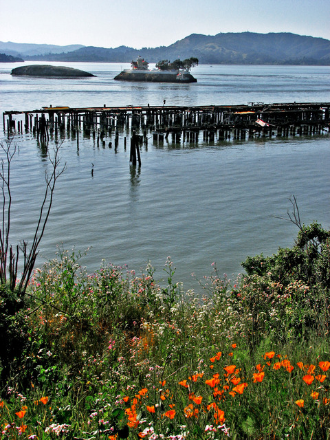 Richmond, CA: Looking west toward San Pablo Bay from Point Molate shorline