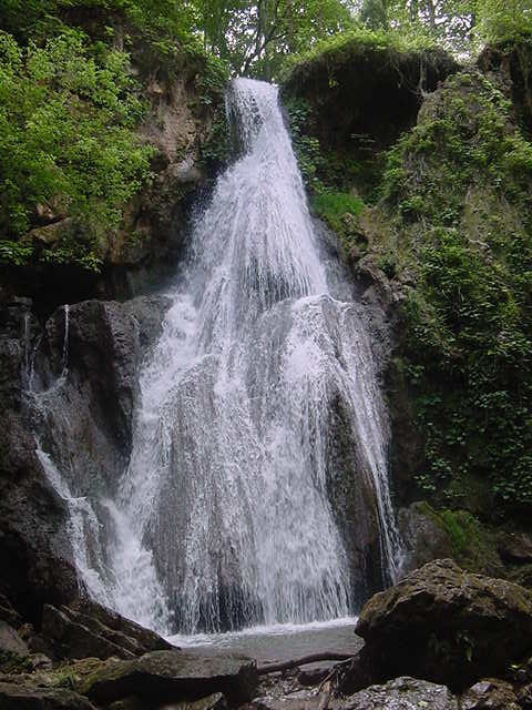 Fall Branch, TN : Fall Branch Falls, Fall Branch Tennessee photo