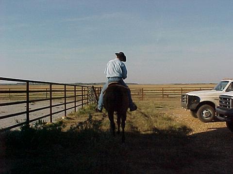 Delaware, OK: This is the small town of Deleware Ok. This photo is of a friend training a horse for my grandfather
