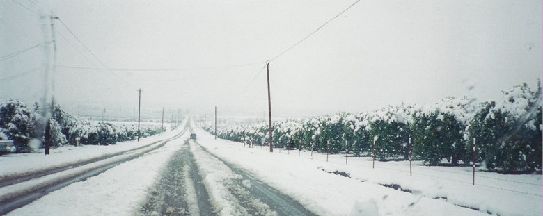 Porterville, CA: Snow in Porterville 1/25/1999