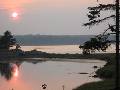 Steuben, ME: Joy Bay Cove at sunset in Steuben, Maine