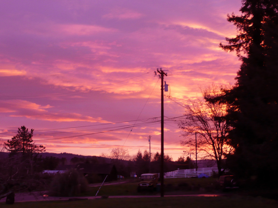 Sebastopol, CA : Sunrise
