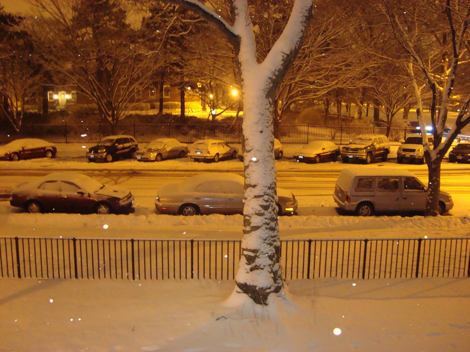 Bronx, NY: winter 2008-2009
