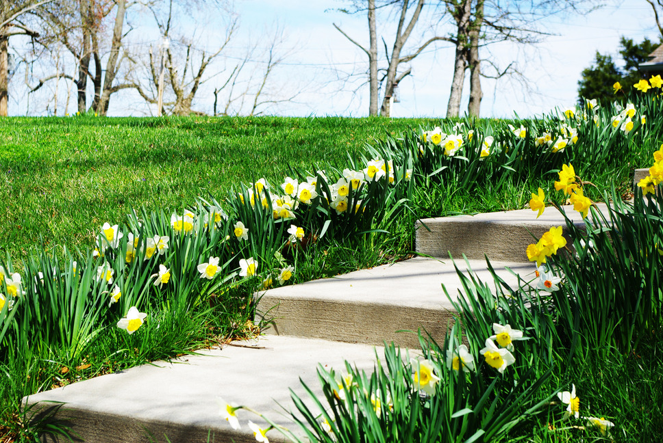 Jackson, MO: front steps with row of flowers in Jackson Missouri