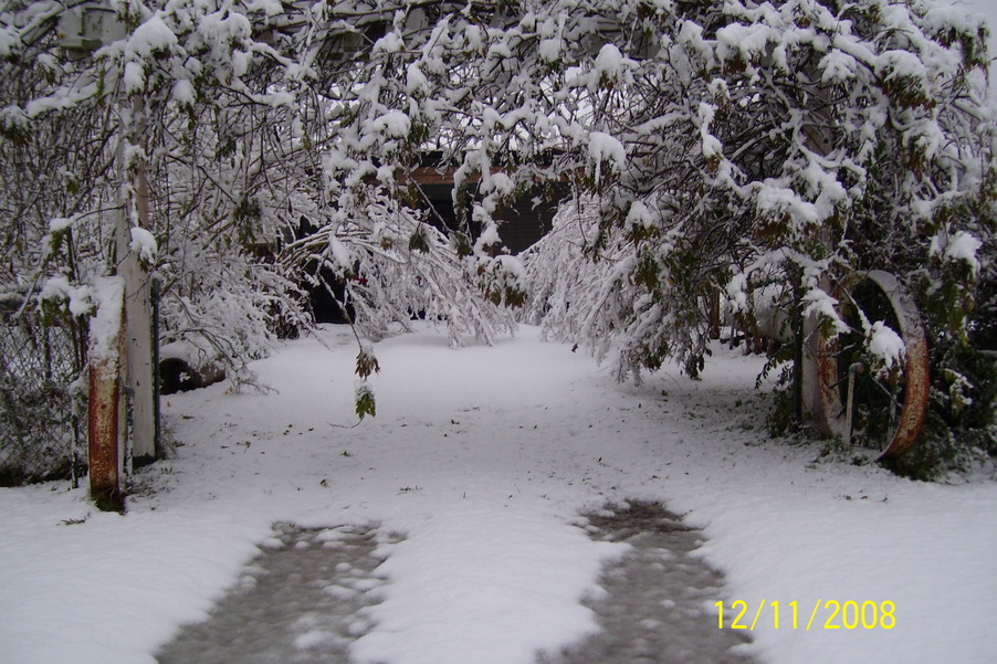 Opelousas, LA: Snow Day in 2008