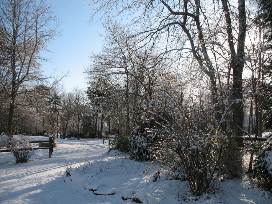 Taylors, SC: March Snow in Taylors, SC