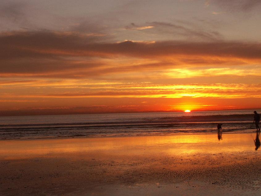Del Mar, CA : Dog Beach at Del Mar, California.