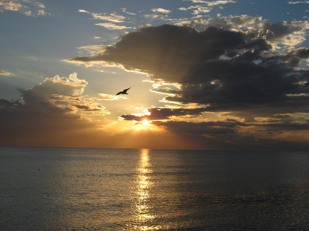 Longboat Key, FL Longboat Key Sunset photo, picture, image (Florida