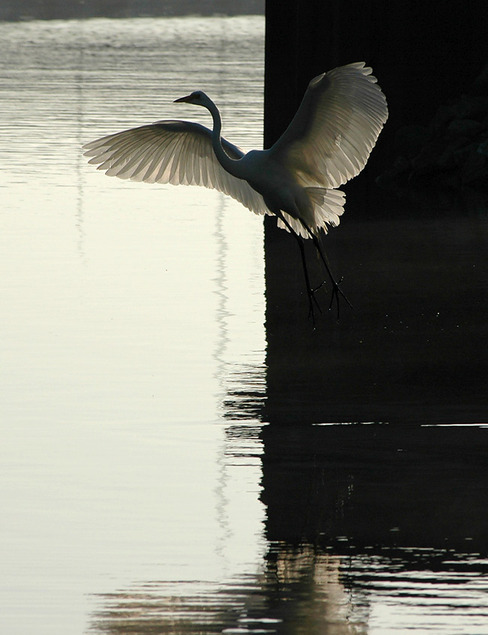 Stockton, CA : Deep Water Channel Sunrise
