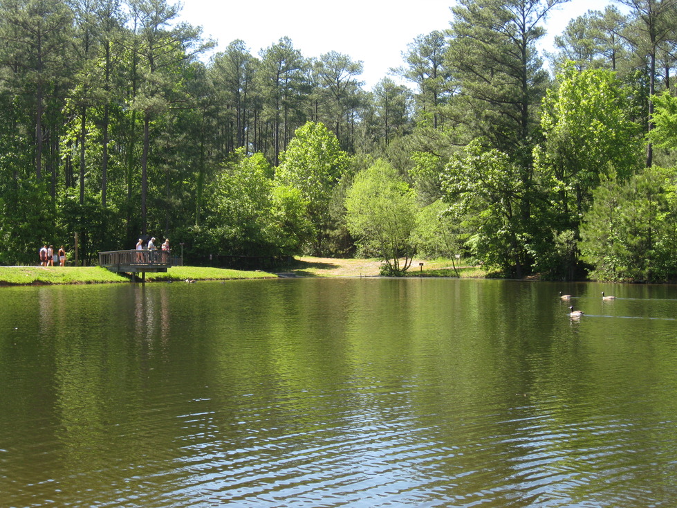 Fairview, TN: One of many ponds at Bowie Nature Park