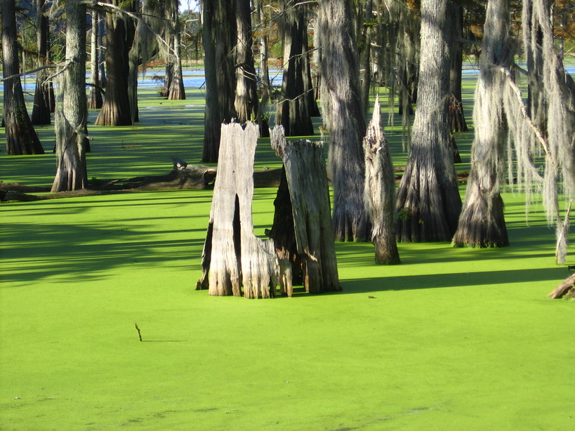 Yazoo City, MS Off the highway near Mississippi Chemical photo, picture, image (Mississippi