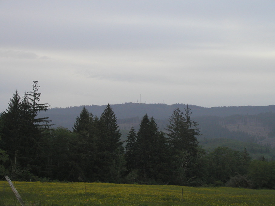Naselle, WA: Radar Hill as seen from a Naselle, Washington Farm