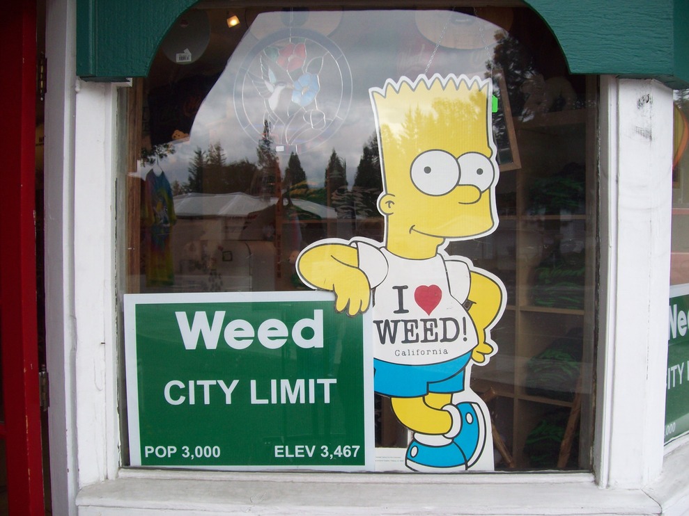 Weed, CA: Bart Simpson Loves Weed