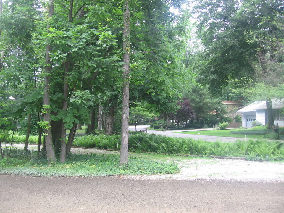 Timberlake, OH Woods in Timberlake photo, picture, image (Ohio) at