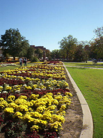 Norman, OK: Award Winning Flower beds - University of Oklahoma Campus