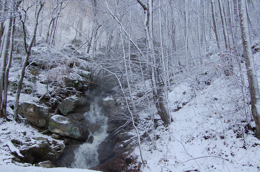 Harlan, KY Winter Wonderland photo, picture, image (Kentucky) at city