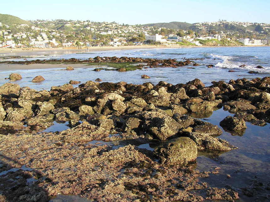 Laguna Beach, CA : Beautiful Laguna from the tide pools photo, picture