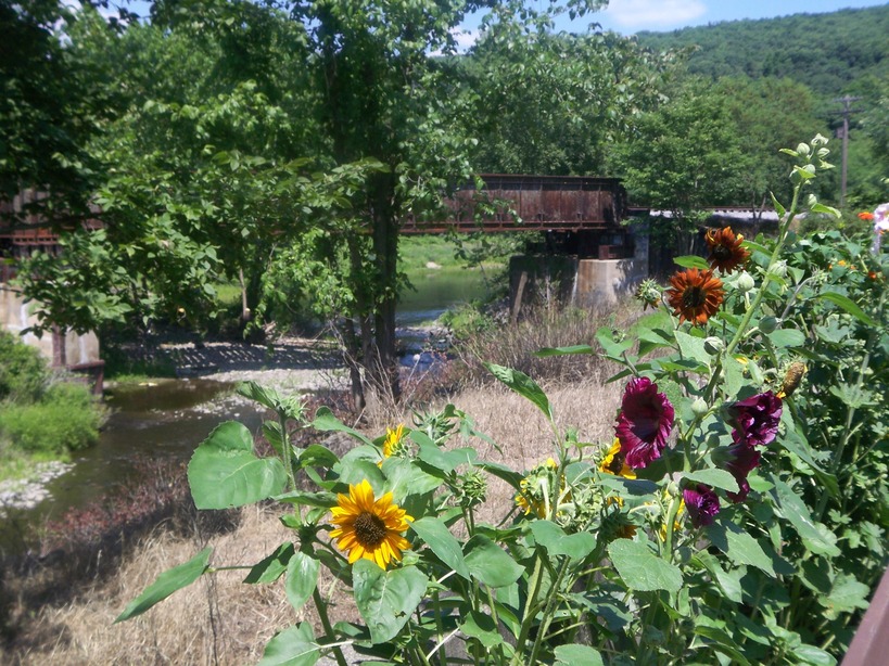 Hawley, PA: Railroad Bridge & Flowers in Hawley