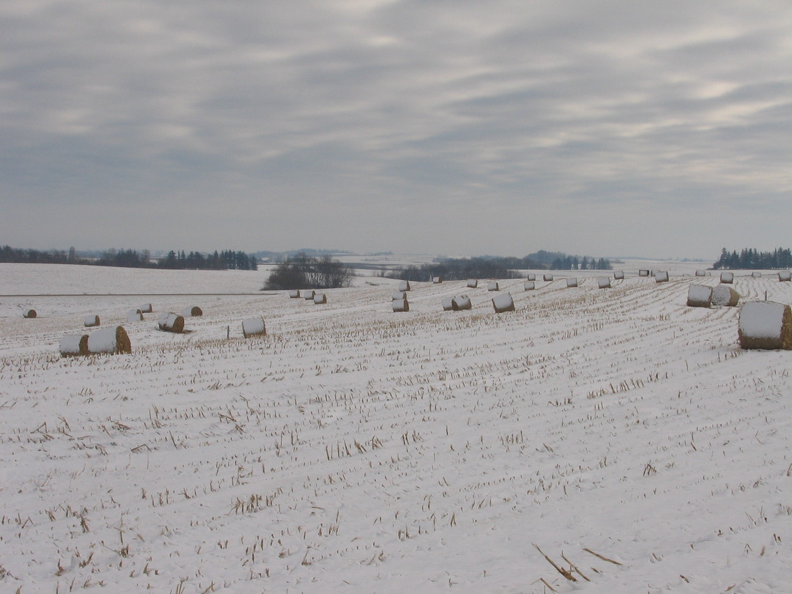 Monona, IA : bales of hay in the snow