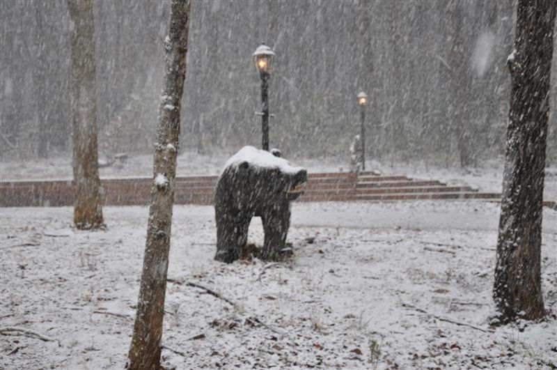 Blairsville, GA Winter Wonderland photo, picture, image at