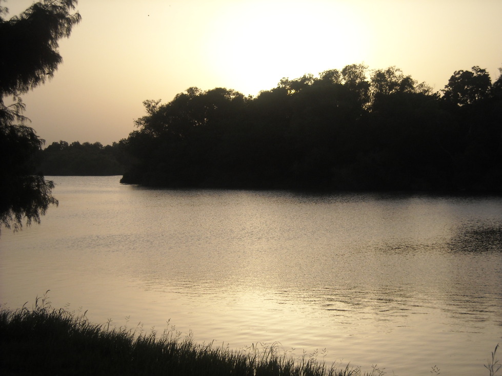 Alice, TX: Sunset on Lake Finley