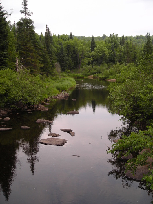 Indian Lake, NY big brook from the kunjamuck bridge trailhead photo
