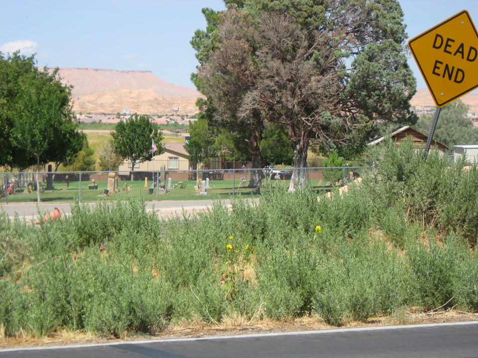 Bunkerville, NV Dead End; literally photo, picture, image (Nevada) at