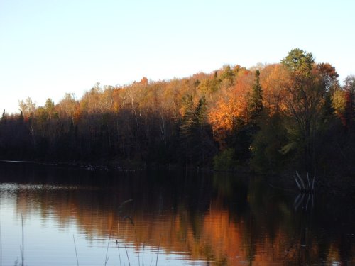 Easton, ME : Fall leaves down by the stream.