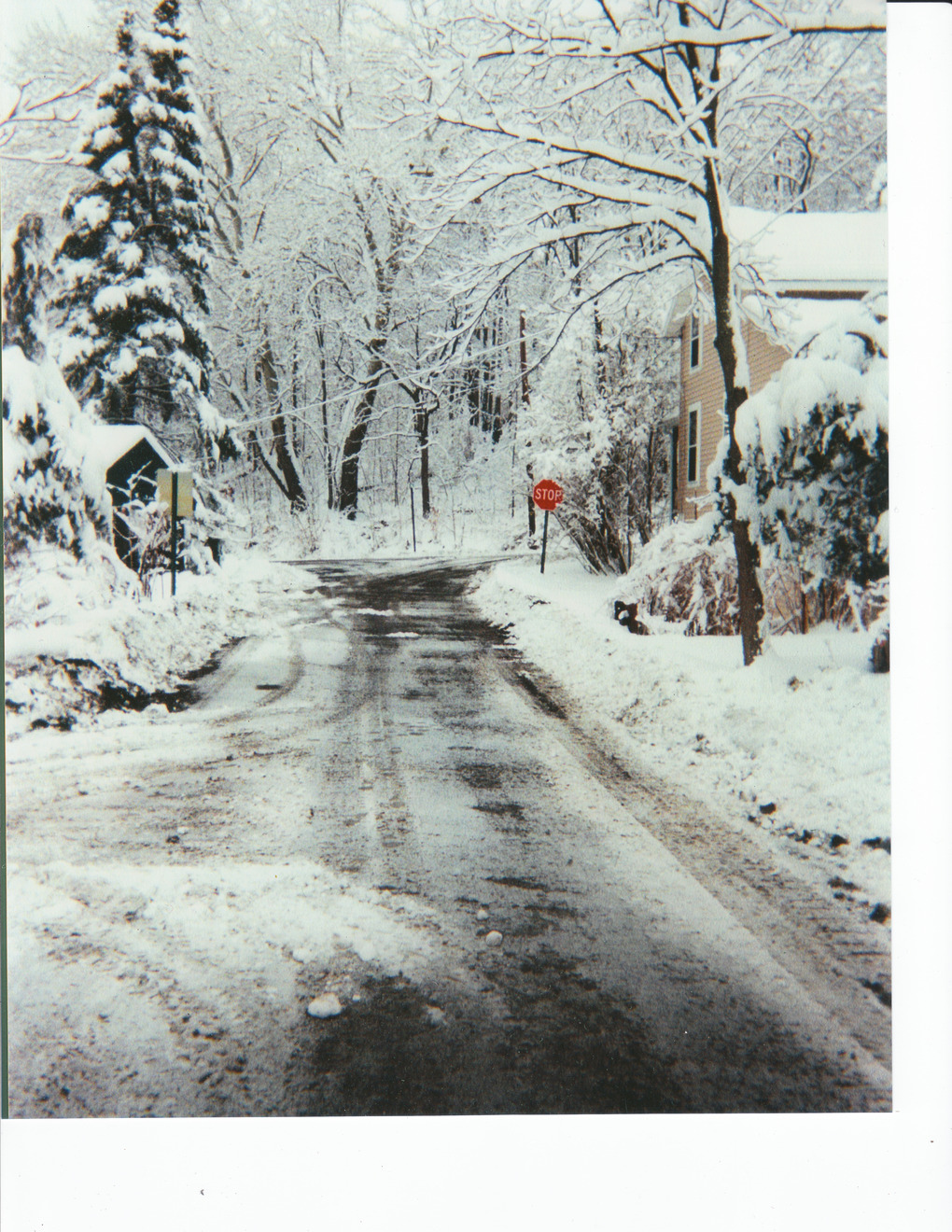 Hector, NY: Hector/Valois Snyder St Winter Snow Escape