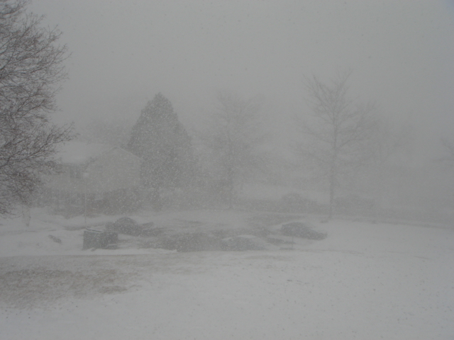 Fitchburg, MA : medowbrook during snow storm