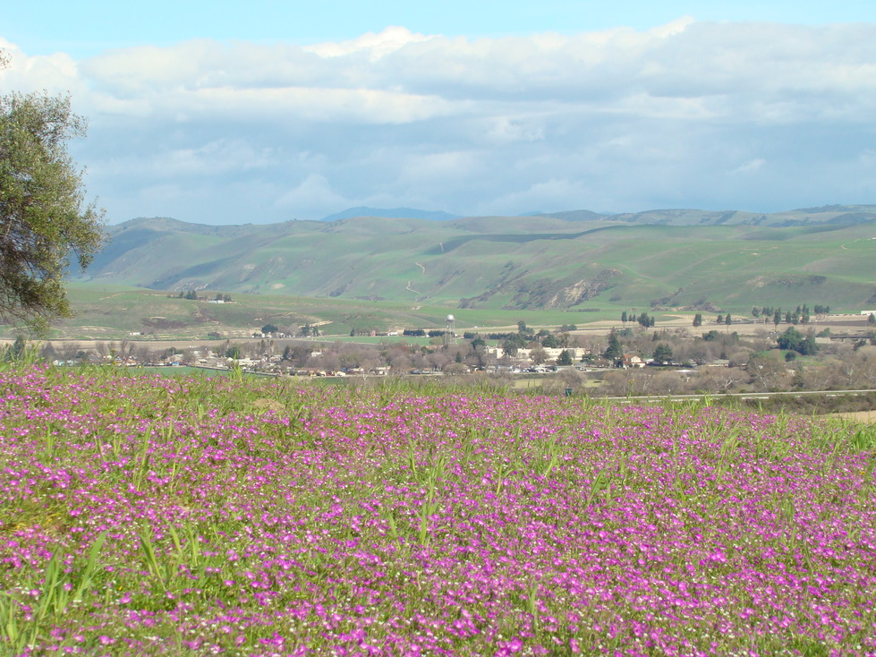 San Ardo, CA San Ardo photo, picture, image (California) at