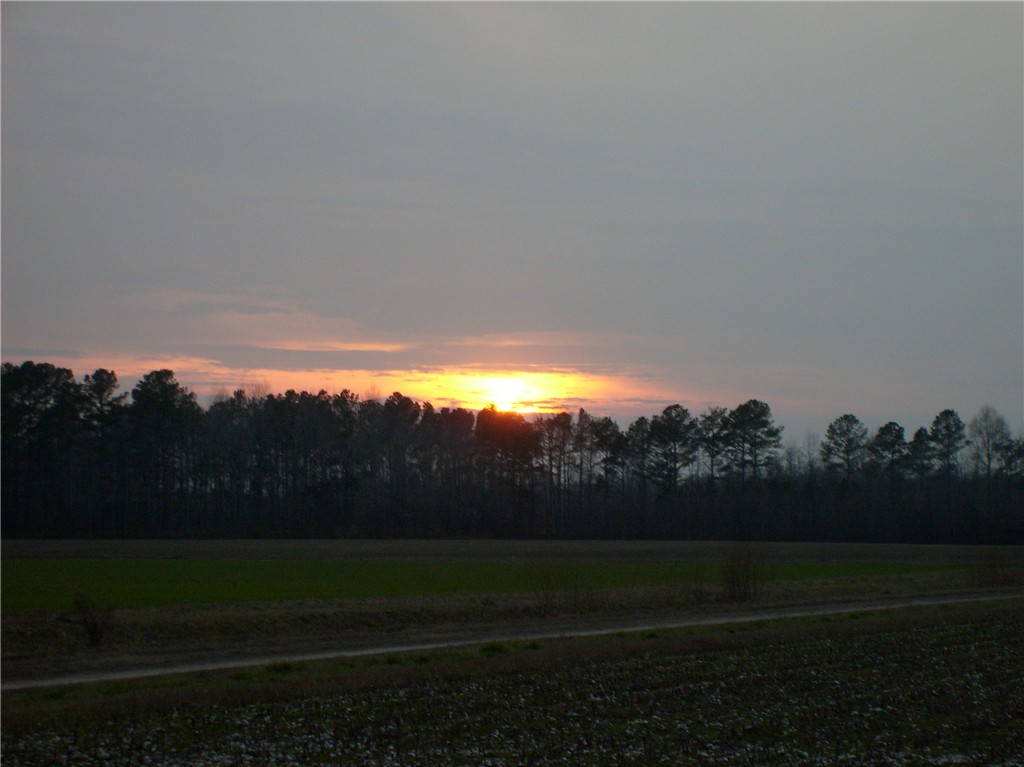 Grimesland, NC this was tking behind Lancelot st G rimesland NC photo