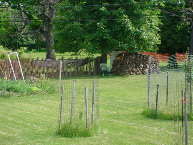 Seven Hills, OH: the lovely view of the neighbors backyard(chickens are fenced in most of the time)