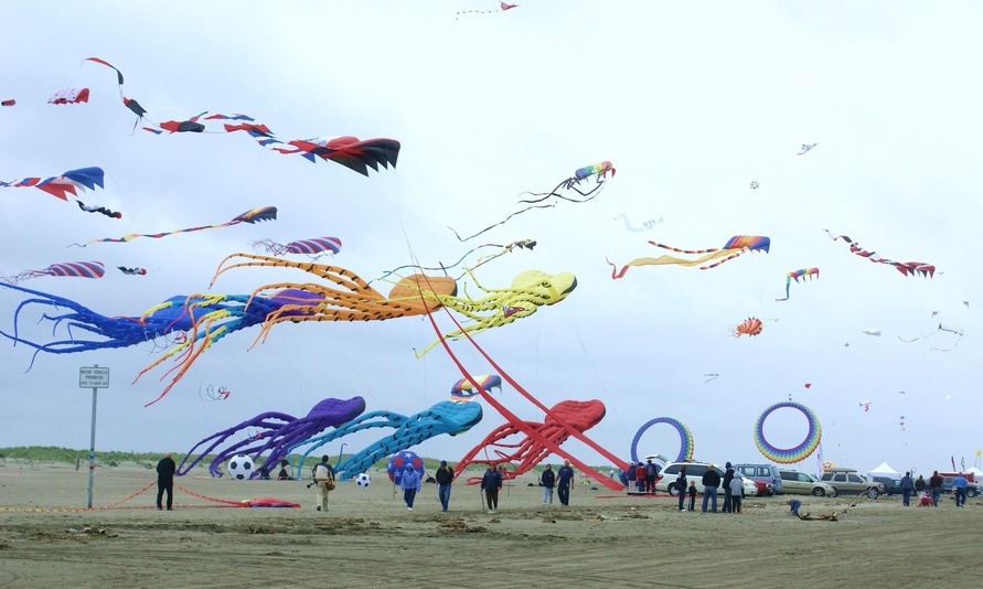 Ocean Shores, WA fly a kite! photo, picture, image (Washington) at