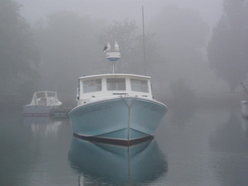 Cohasset, MA: A foggy July morning at Cohasset Harbor veils these love birds