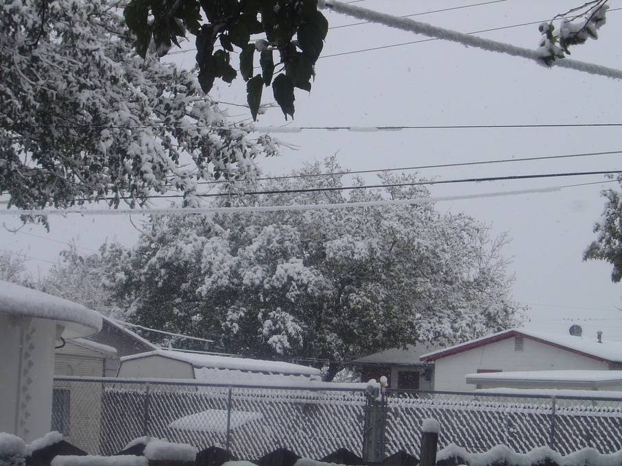 Odessa, TX winter wonderland photo, picture, image (Texas) at city