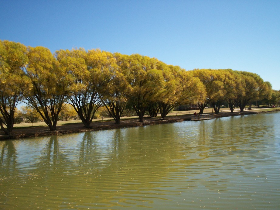 Brownfield, TX: Autumn at Howell Lake (Brownfield)