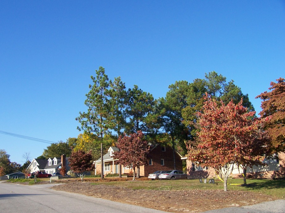 Springdale, SC Autumn in Springdale. For some reason Sightler Drive