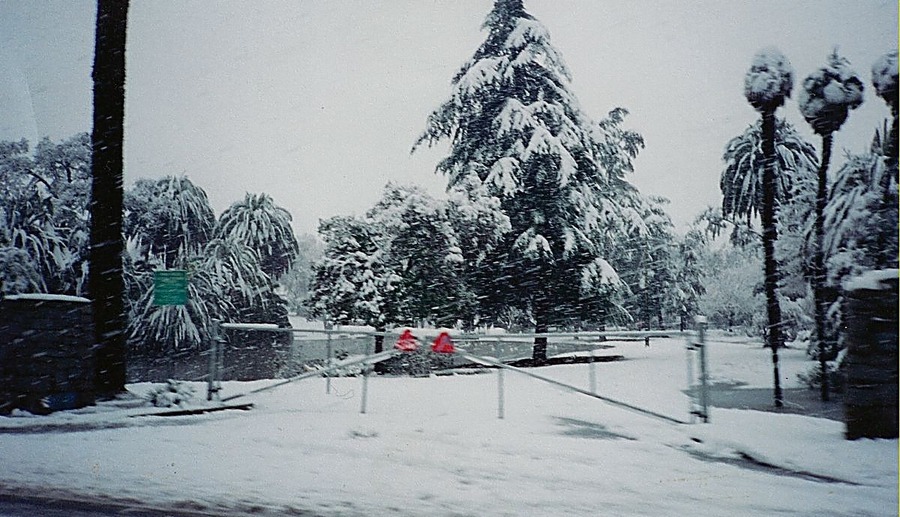 Porterville, CA: Snow Storm in Porterville, Winter of 1999
