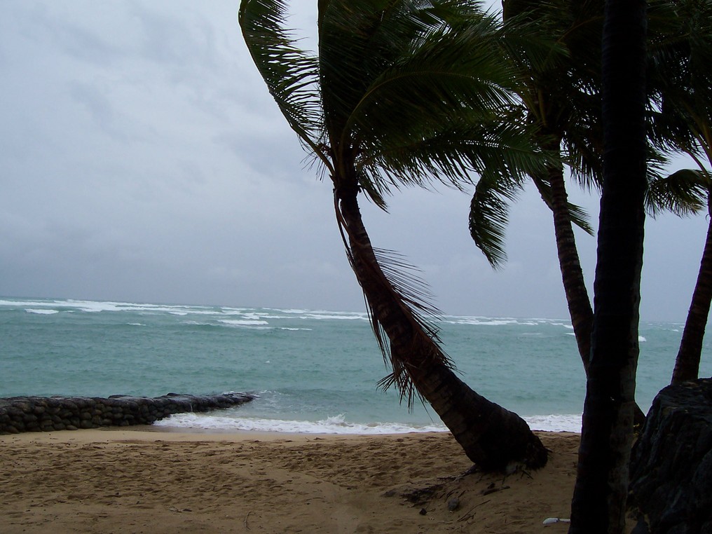 Honolulu, HI : Wikiki beach